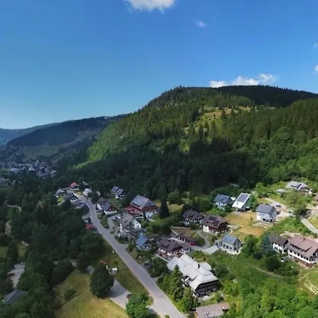 Schwarzwaldgefluester Appartement St. Blasien